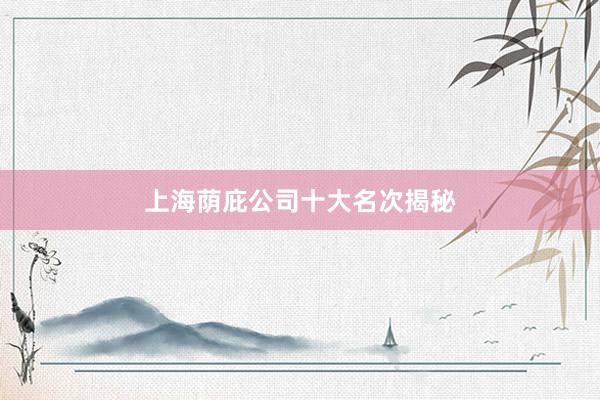 上海荫庇公司十大名次揭秘